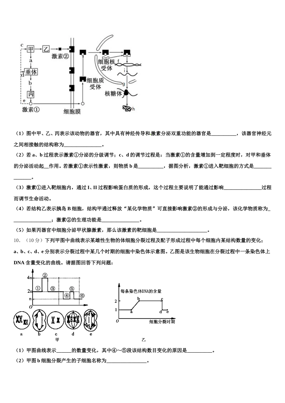 2025年聊城市重点中学高一生物第二学期期末质量跟踪监视模拟试题含解析_第3页