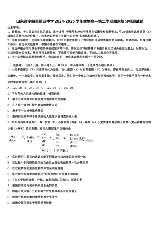 山东省宁阳县第四中学2024-2025学年生物高一第二学期期末复习检测试题含解析