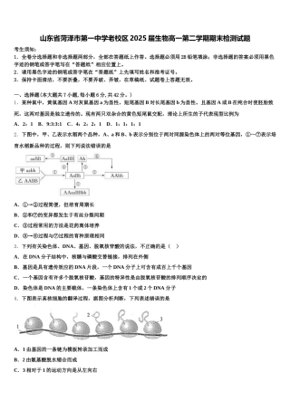 山东省菏泽市第一中学老校区2025届生物高一第二学期期末检测试题含解析