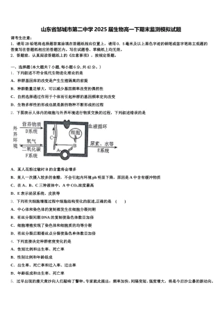山东省邹城市第二中学2025届生物高一下期末监测模拟试题含解析