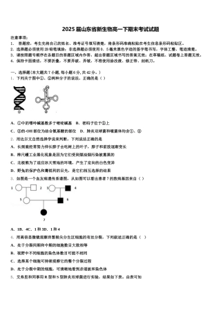 2025届山东省新生物高一下期末考试试题含解析