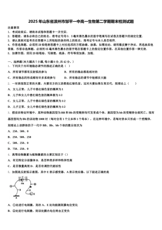 2025年山东省滨州市邹平一中高一生物第二学期期末检测试题含解析
