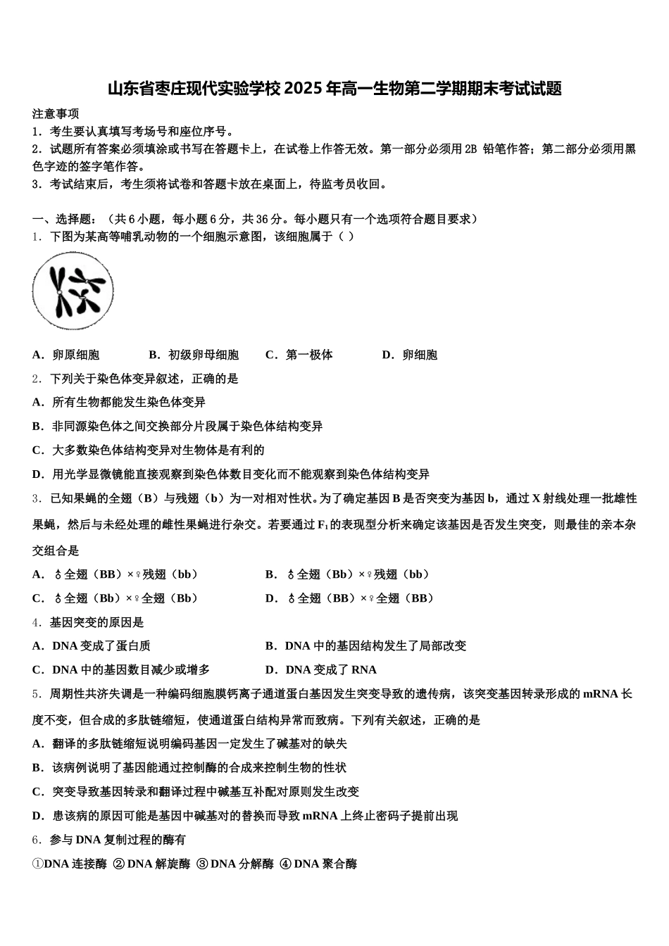 山东省枣庄现代实验学校2025年高一生物第二学期期末考试试题含解析_第1页