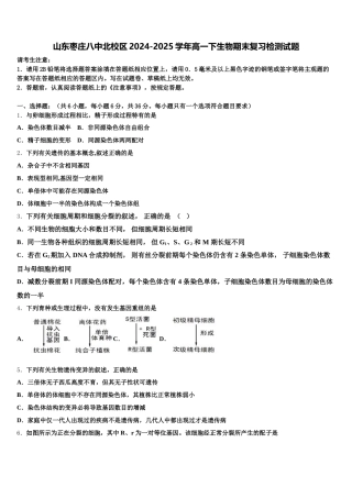 山东枣庄八中北校区2024-2025学年高一下生物期末复习检测试题含解析