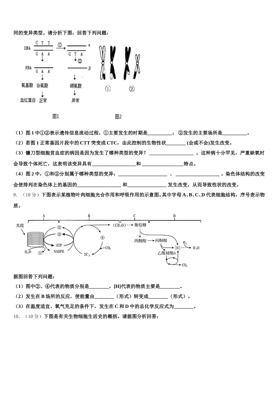 2024-2025学年山东省烟台市第一中学生物高一下期末质量跟踪监视模拟试题含解析_第3页