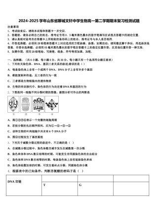 2024-2025学年山东省聊城文轩中学生物高一第二学期期末复习检测试题含解析