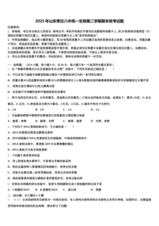2025年山东枣庄八中高一生物第二学期期末统考试题含解析
