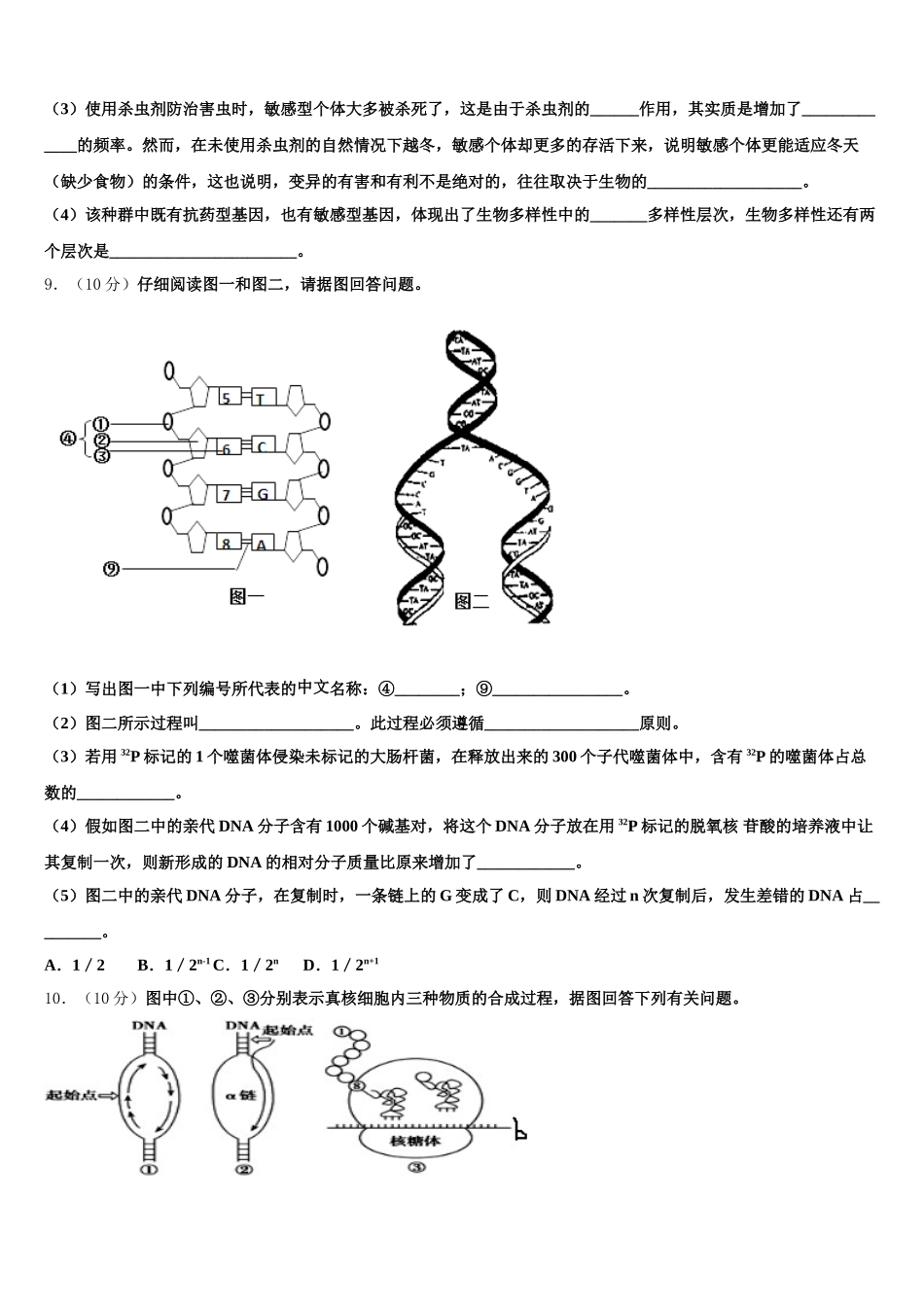 2025年山东省新泰第一中学生物高一第二学期期末综合测试模拟试题含解析_第3页