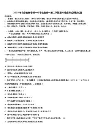 2025年山东省新泰第一中学生物高一第二学期期末综合测试模拟试题含解析