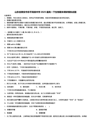 山东省泰安市东平高级中学2025届高一下生物期末调研模拟试题含解析