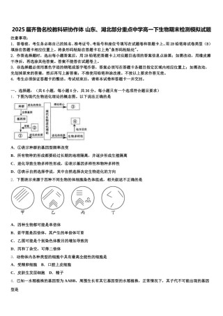 2025届齐鲁名校教科研协作体 山东、湖北部分重点中学高一下生物期末检测模拟试题含解析