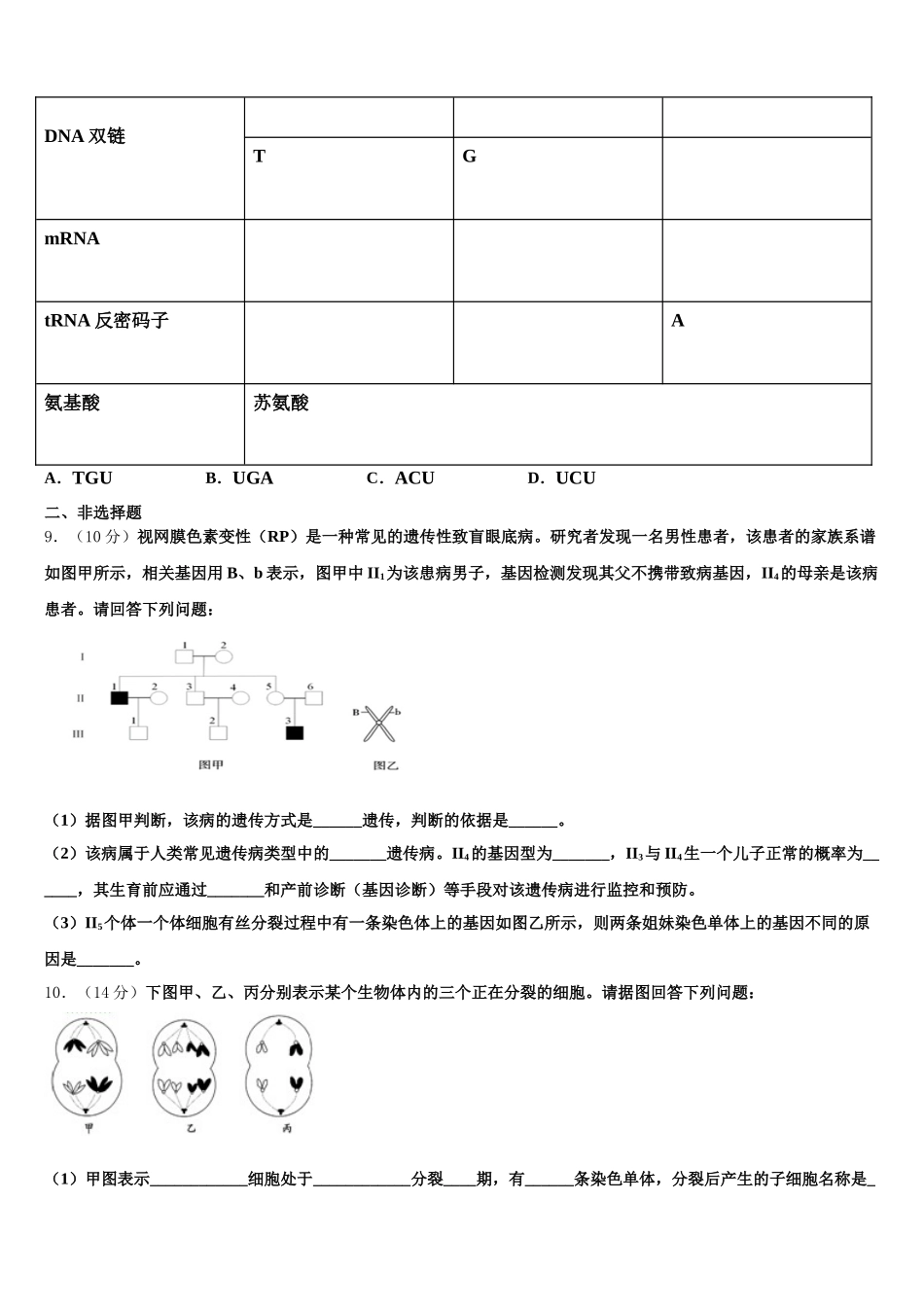 山东省济宁市第二中学2025届生物高一下期末质量跟踪监视试题含解析_第2页