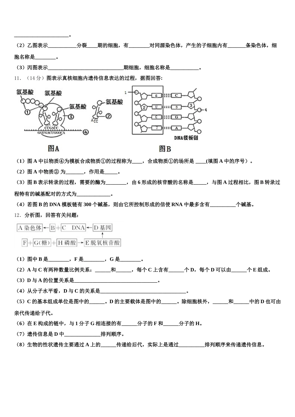 山东省济宁市第二中学2025届生物高一下期末质量跟踪监视试题含解析_第3页