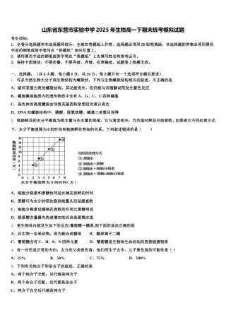 山东省东营市实验中学2025年生物高一下期末统考模拟试题含解析