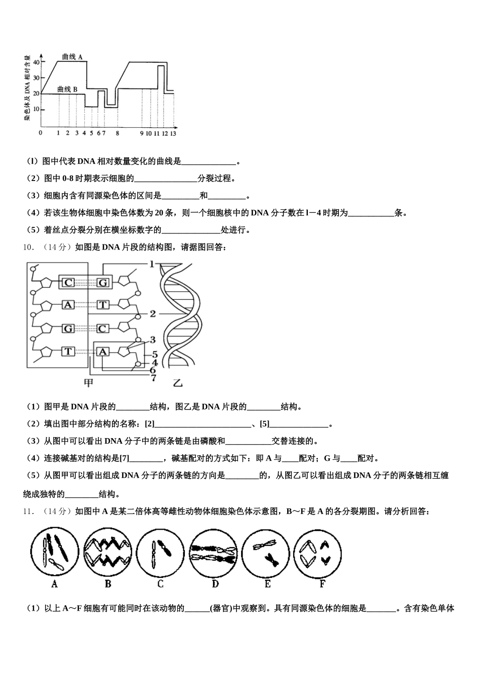 2025年山东省实验中学高一生物第二学期期末教学质量检测模拟试题含解析_第3页
