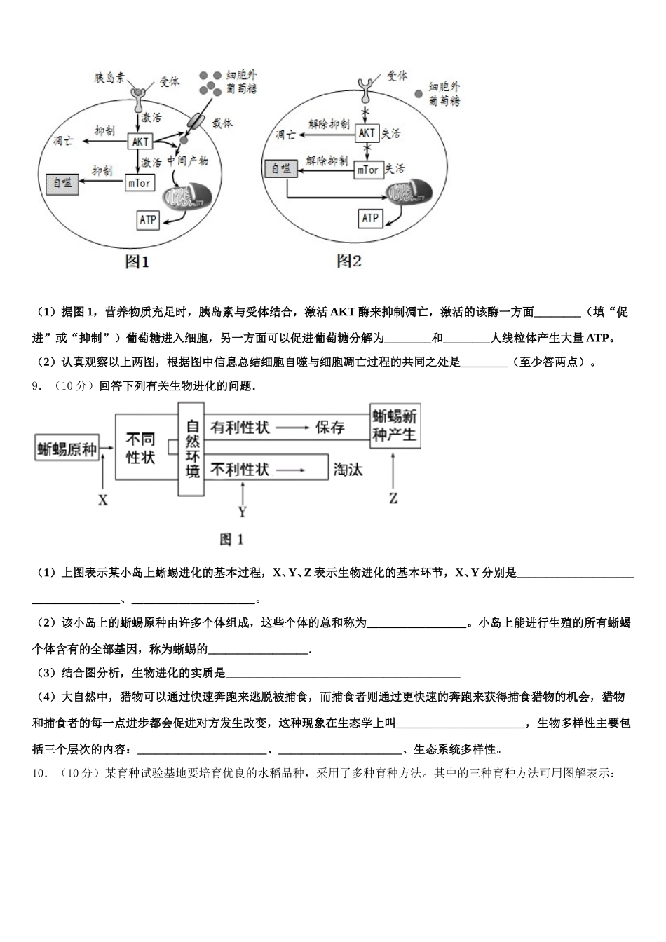 山东省实验中学、淄博实验中学、烟台一中、莱芜一中四校2025年生物高一第二学期期末调研模拟试题含解析_第3页