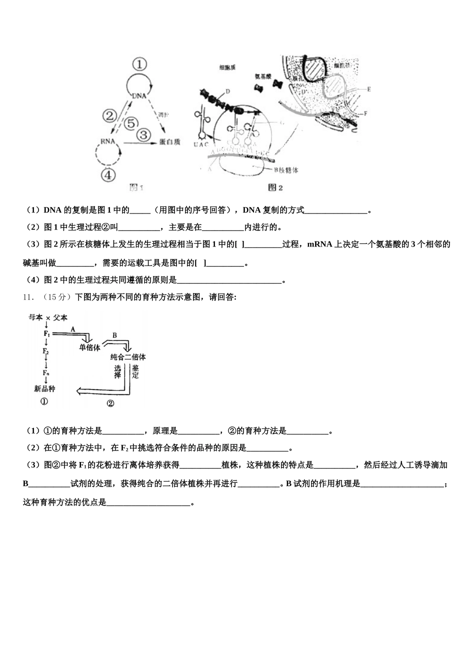 2025年山东省泰安第十九中学高一生物第二学期期末学业水平测试试题含解析_第3页
