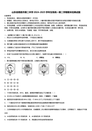 山东省栖霞市第二中学2024-2025学年生物高一第二学期期末经典试题含解析