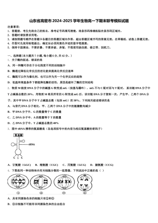 山东省高密市2024-2025学年生物高一下期末联考模拟试题含解析