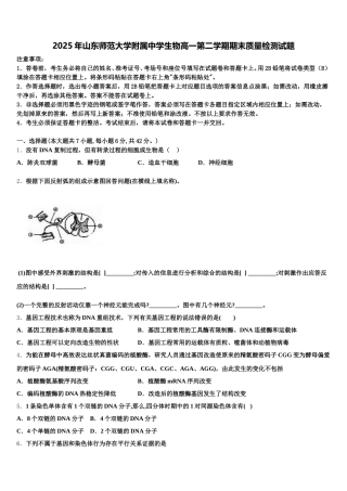 2025年山东师范大学附属中学生物高一第二学期期末质量检测试题含解析
