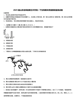 2025届山东省单县第五中学高一下生物期末质量跟踪监视试题含解析