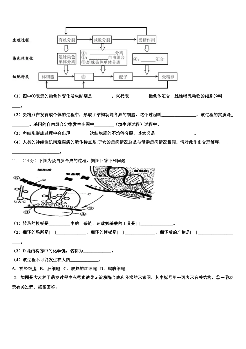 山东省青岛二中2025年高一下生物期末考试试题含解析_第3页