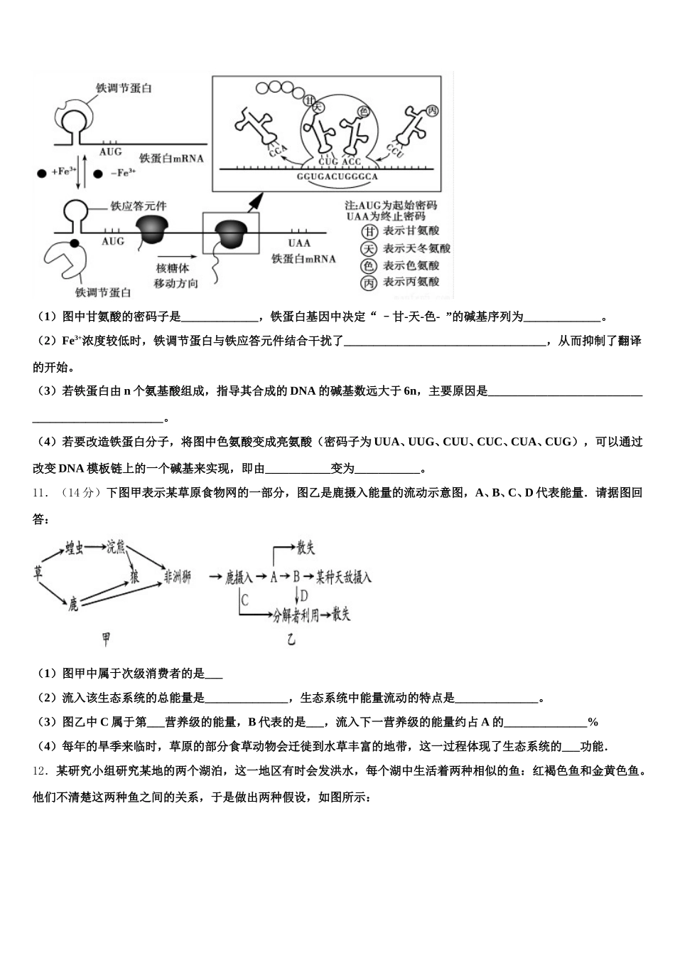 2025年山东省临沂市兰陵县高一下生物期末调研试题含解析_第3页