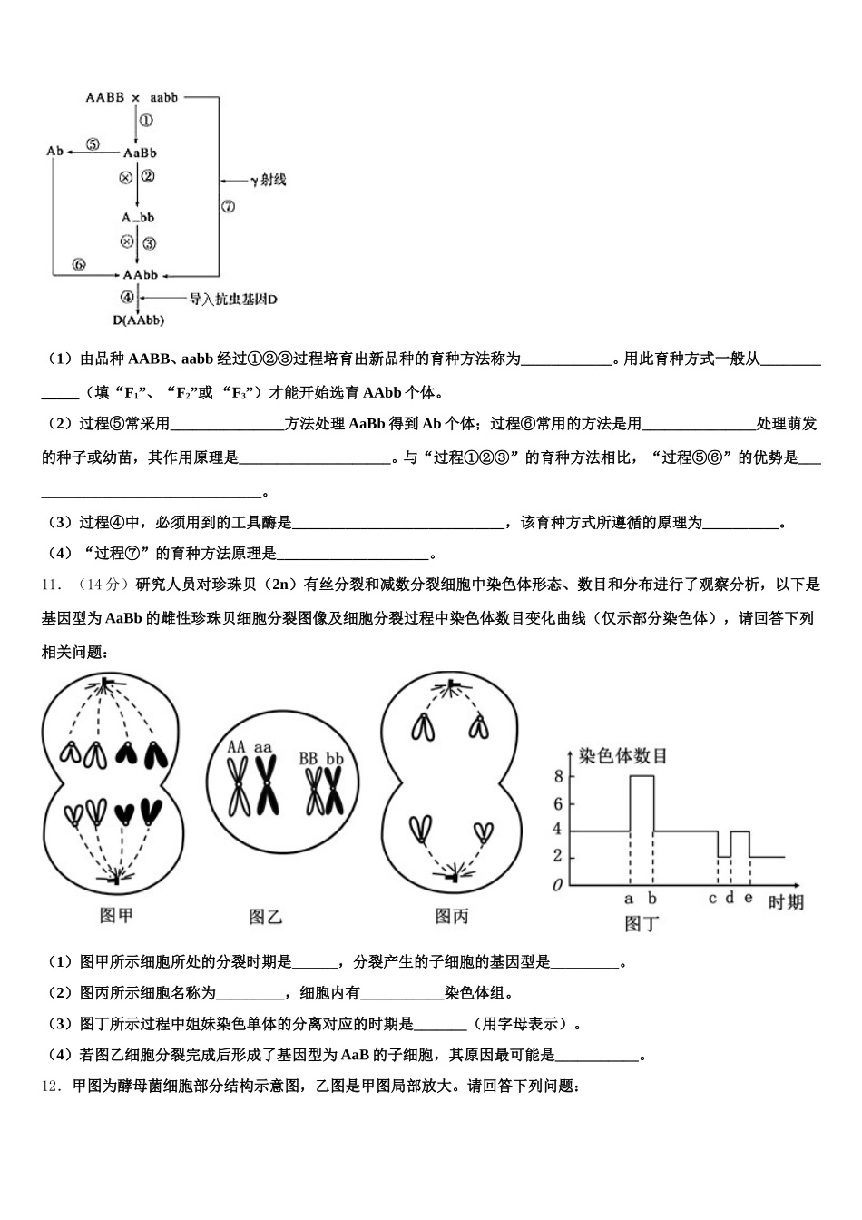 山东省青岛市青岛第二中学2024-2025学年生物高一第二学期期末复习检测试题含解析_第3页