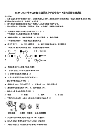 2024-2025学年山东阳谷县第五中学生物高一下期末质量检测试题含解析