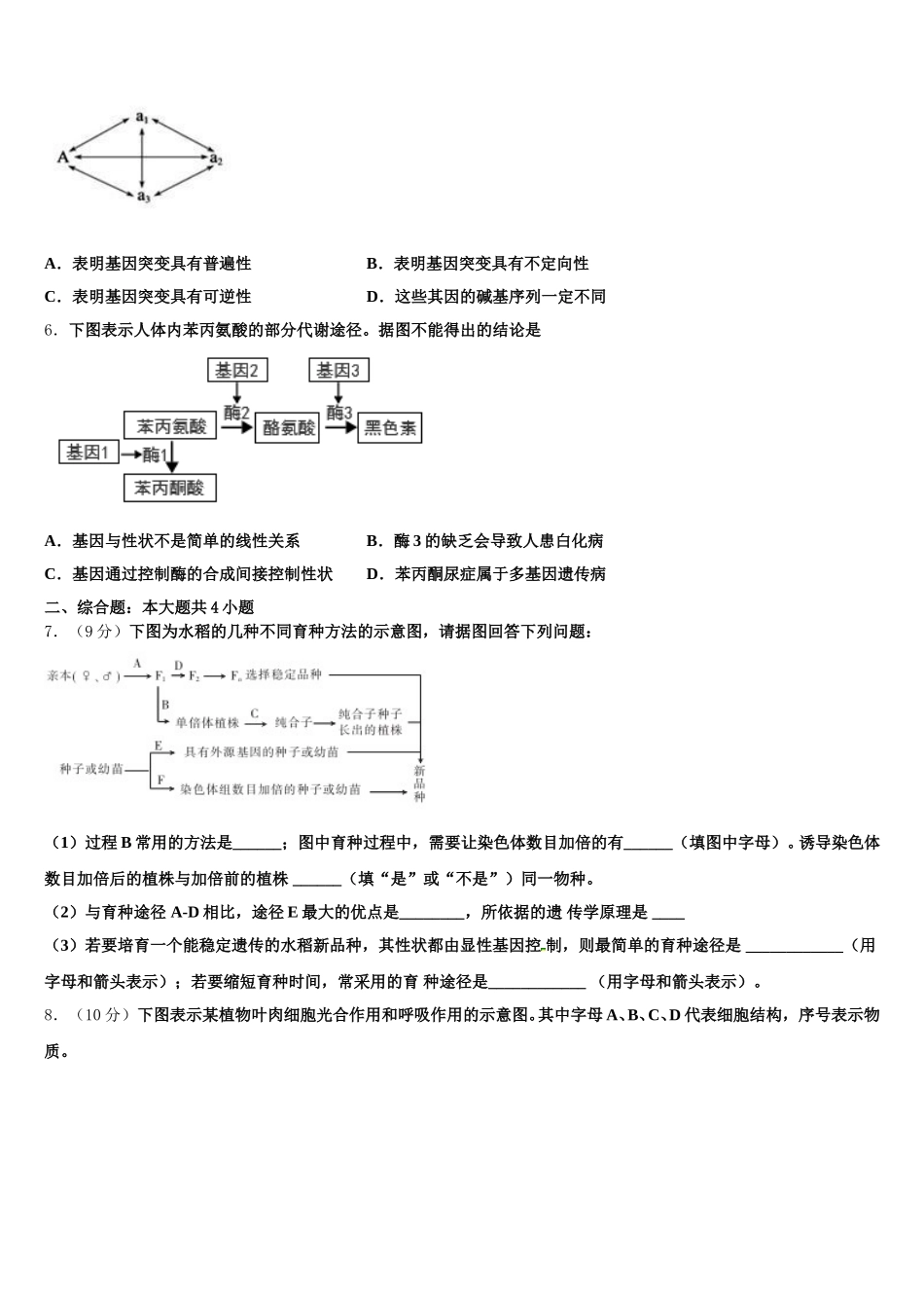 山东省莒南县大店中学2025届高一下生物期末教学质量检测模拟试题含解析_第2页
