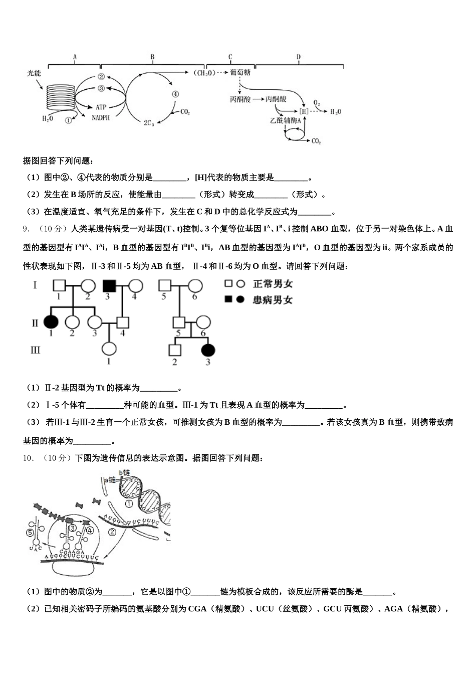 山东省莒南县大店中学2025届高一下生物期末教学质量检测模拟试题含解析_第3页