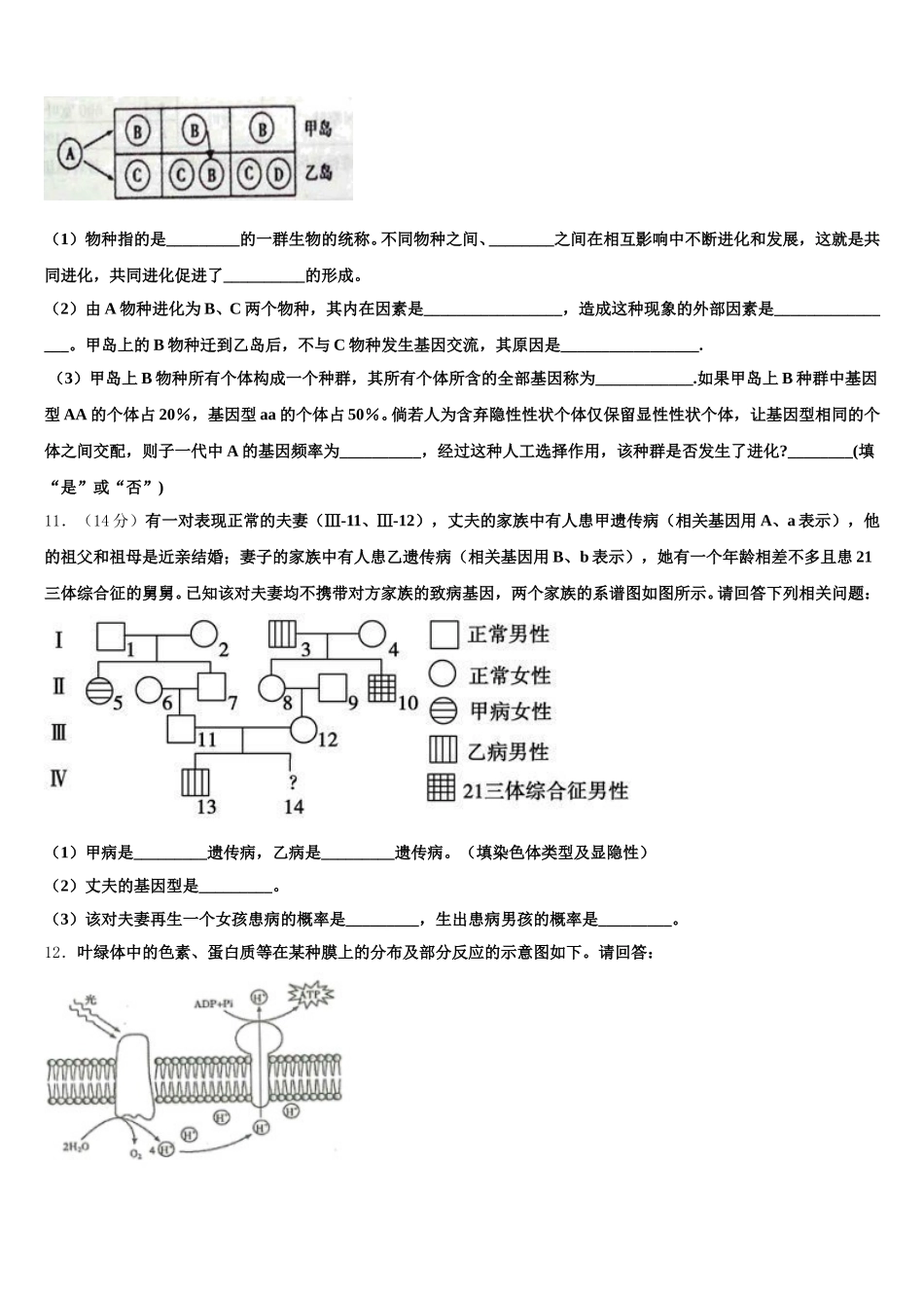 2024-2025学年山东省曹县三桐中学生物高一下期末综合测试模拟试题含解析_第3页