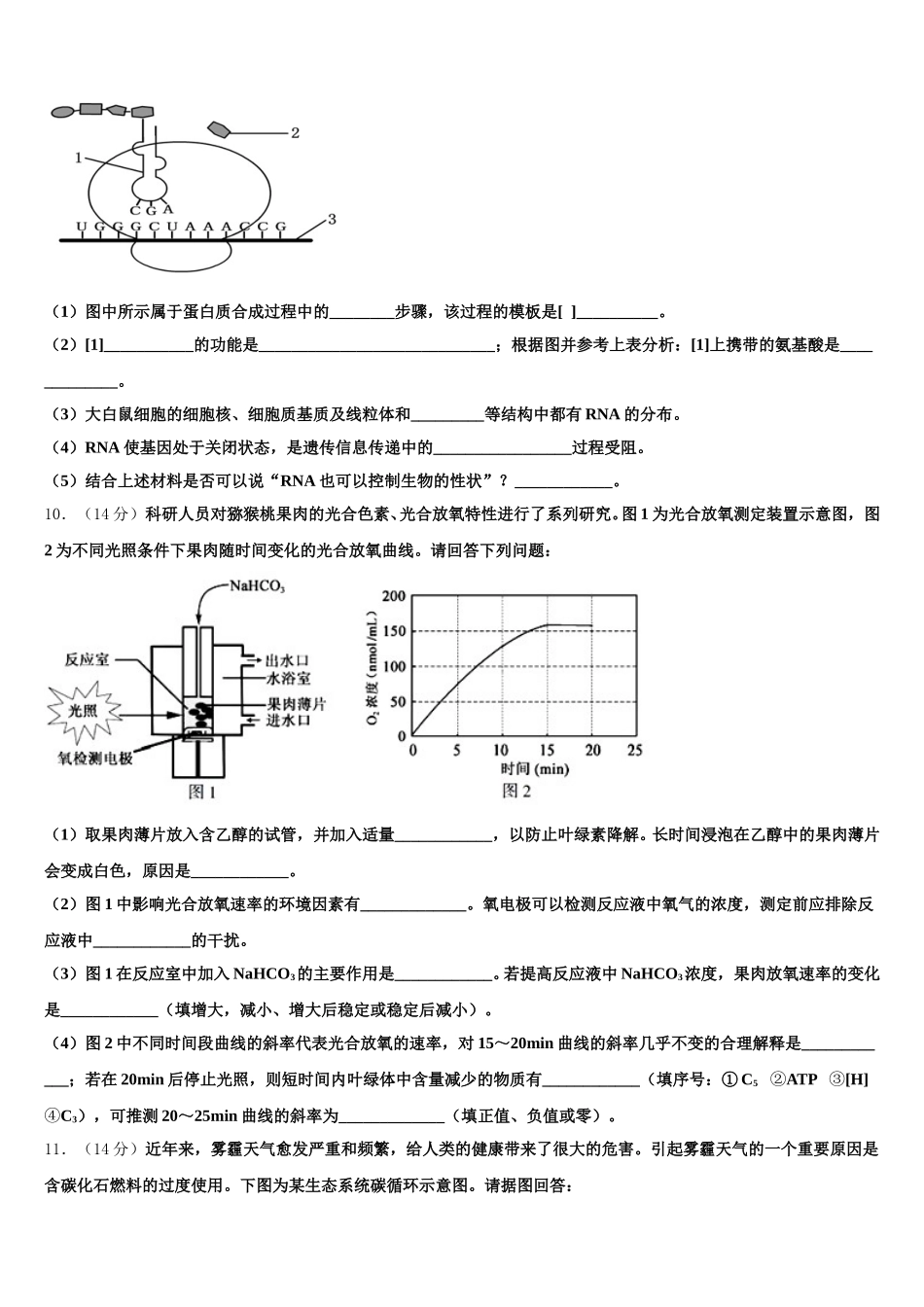 潍坊第一中学2025届高一生物第二学期期末教学质量检测模拟试题含解析_第3页