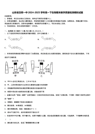 山东省日照一中2024-2025学年高一下生物期末教学质量检测模拟试题含解析