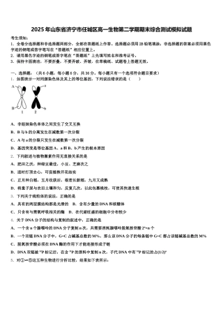 2025年山东省济宁市任城区高一生物第二学期期末综合测试模拟试题含解析