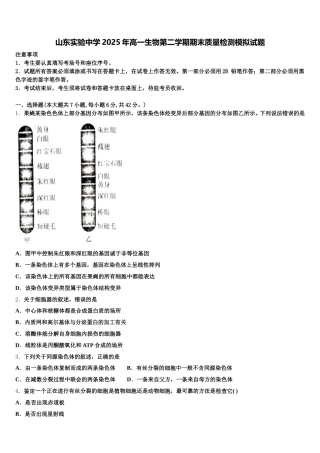 山东实验中学2025年高一生物第二学期期末质量检测模拟试题含解析