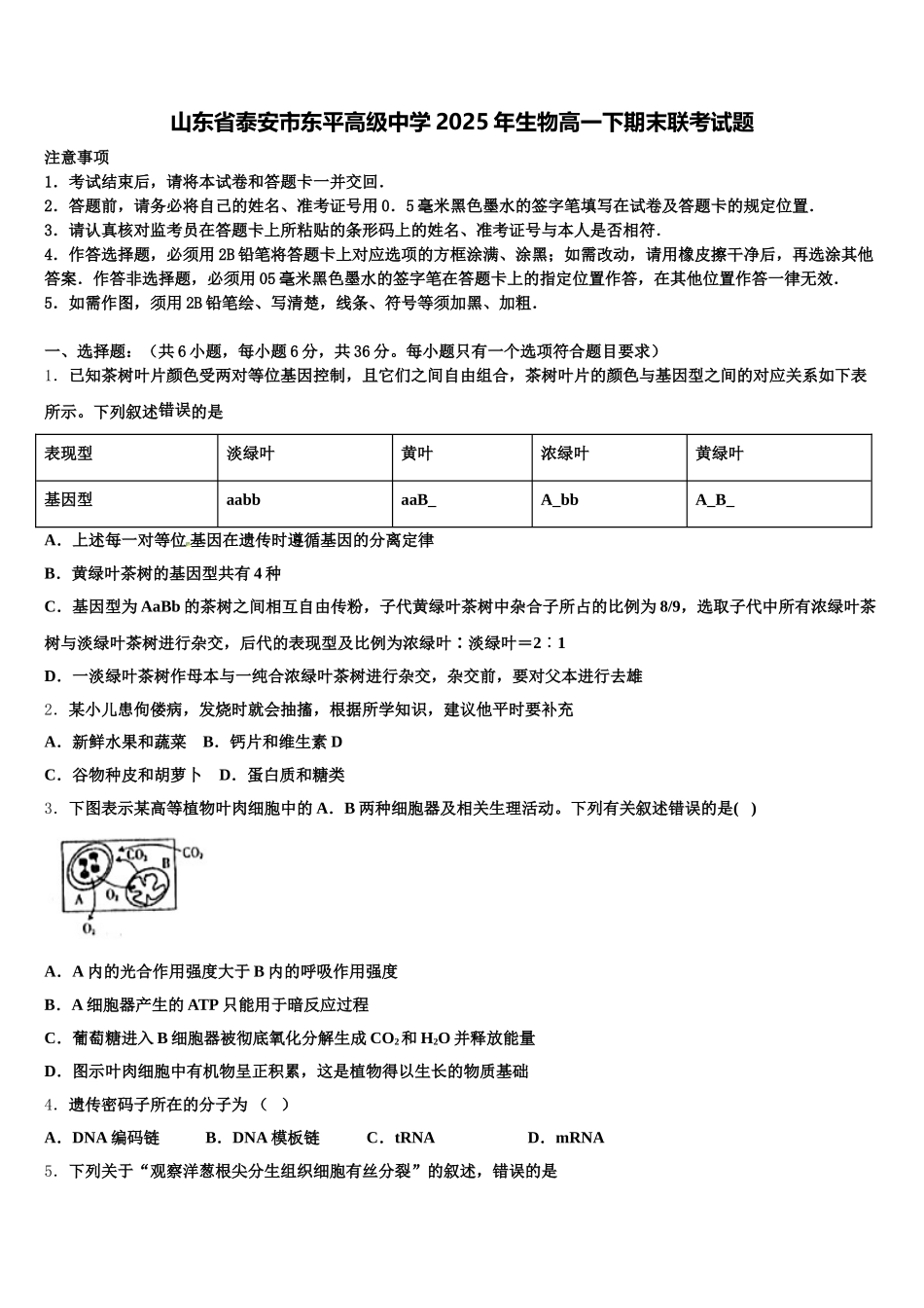 山东省泰安市东平高级中学2025年生物高一下期末联考试题含解析_第1页