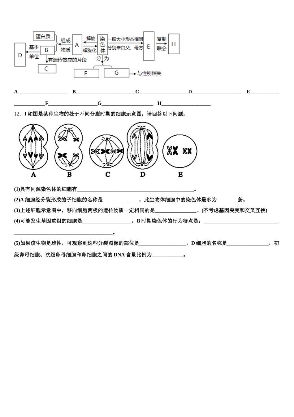 2025年山东省青岛市城阳一中高一生物第二学期期末监测试题含解析_第3页
