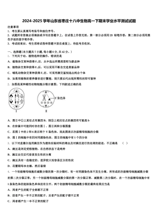 2024-2025学年山东省枣庄十八中生物高一下期末学业水平测试试题含解析