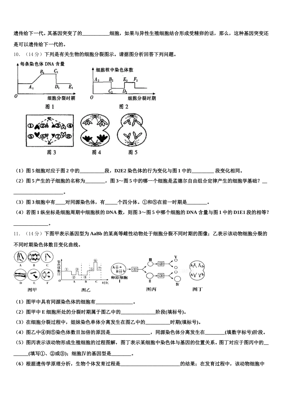 2025届山东省巨野县一中生物高一下期末达标检测模拟试题含解析_第3页