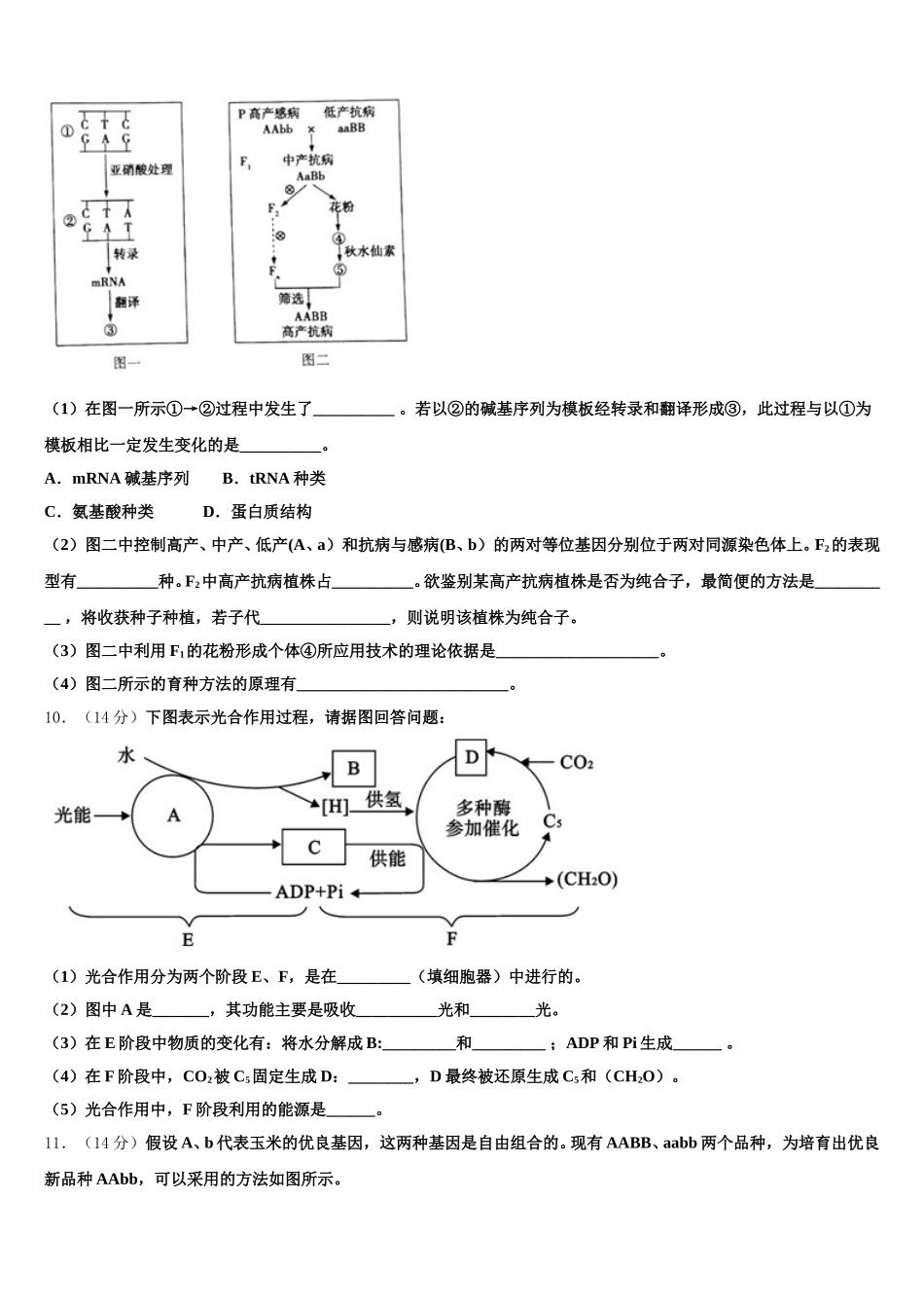 2025年山东省青州第二中学高一下生物期末学业水平测试模拟试题含解析_第3页