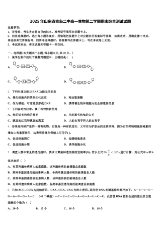 2025年山东省青岛二中高一生物第二学期期末综合测试试题含解析