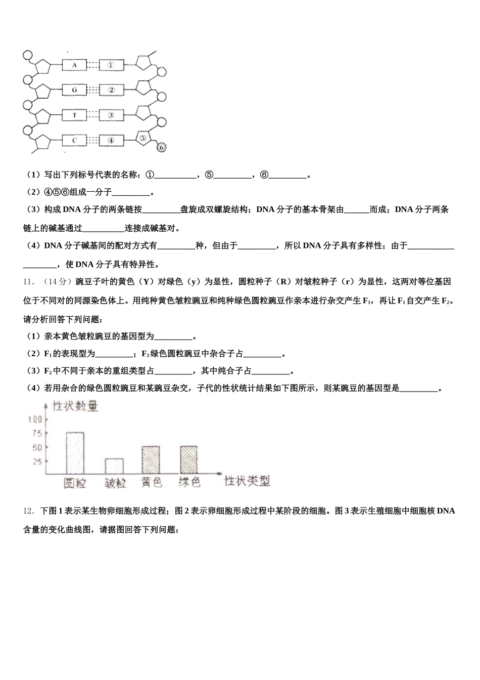 山东省冠县武训高级中学2025年生物高一第二学期期末经典试题含解析_第3页