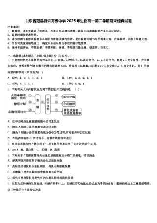 山东省冠县武训高级中学2025年生物高一第二学期期末经典试题含解析