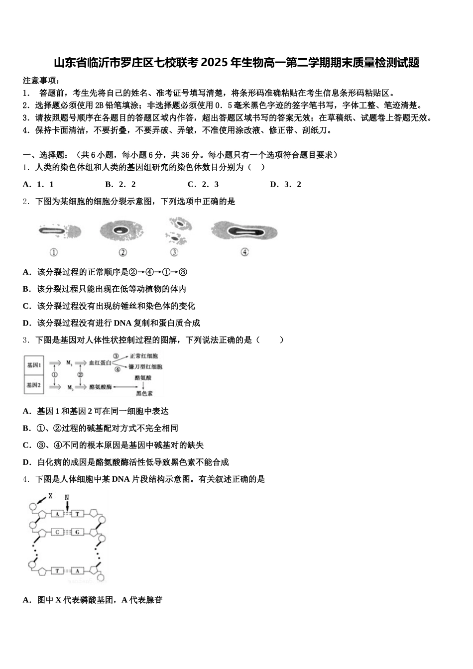 山东省临沂市罗庄区七校联考2025年生物高一第二学期期末质量检测试题含解析_第1页