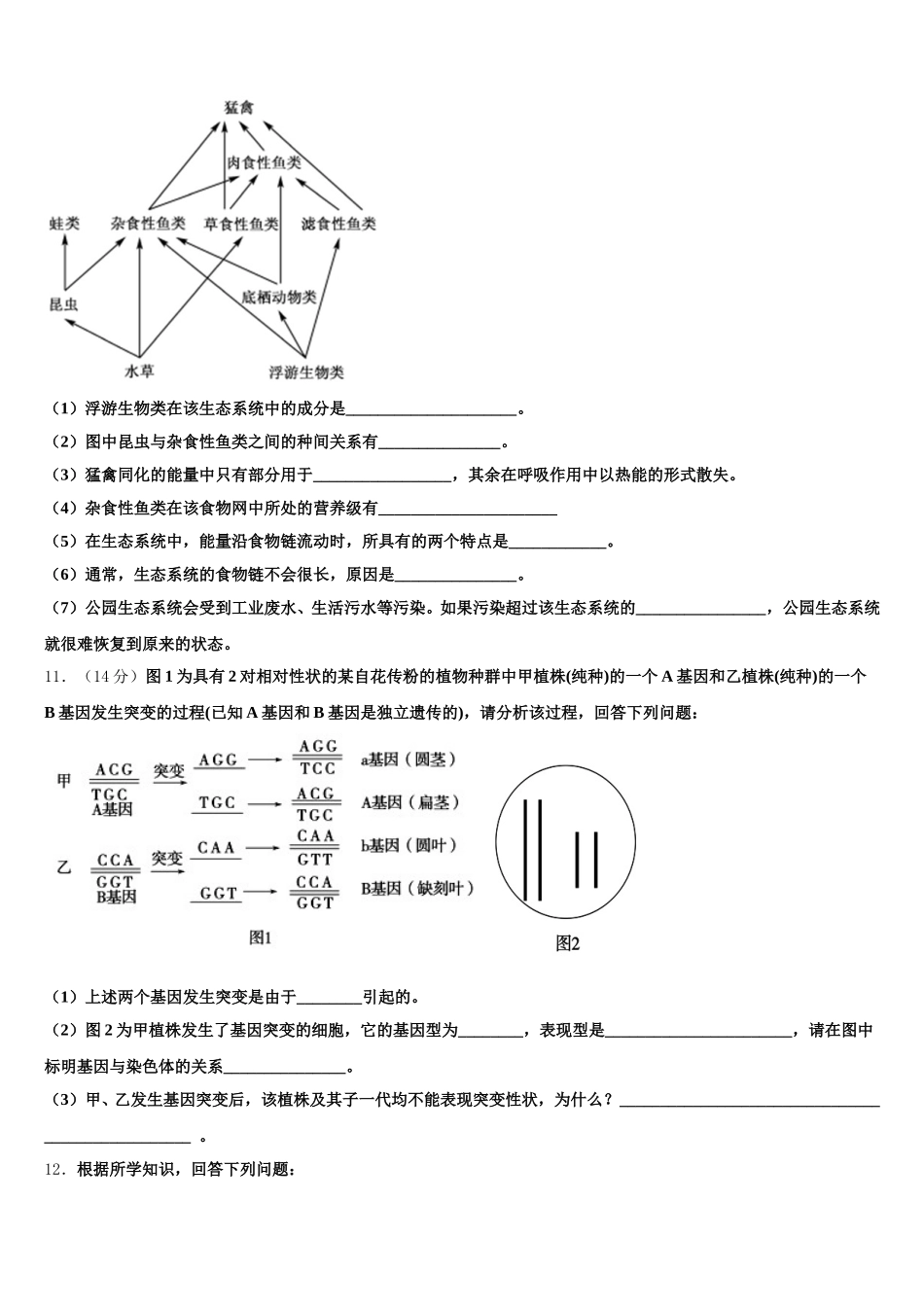 山东省垦利第一中学2025年高一生物第二学期期末考试模拟试题含解析_第3页