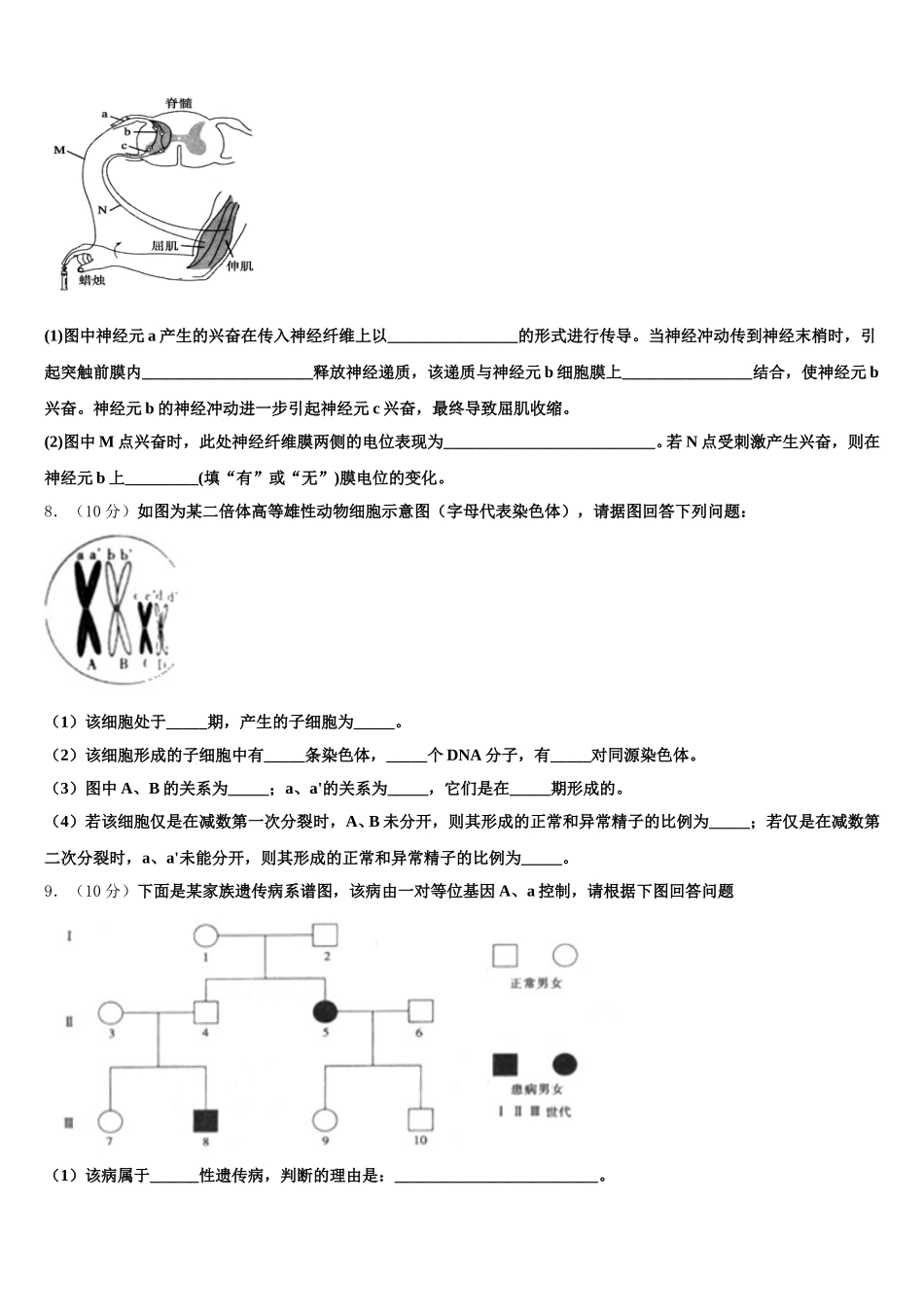 2024-2025学年山东省昌乐二中高一生物第二学期期末经典试题含解析_第2页