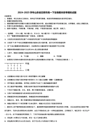 2024-2025学年山东省日照市高一下生物期末统考模拟试题含解析