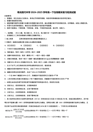 寿光现代中学2024-2025学年高一下生物期末复习检测试题含解析