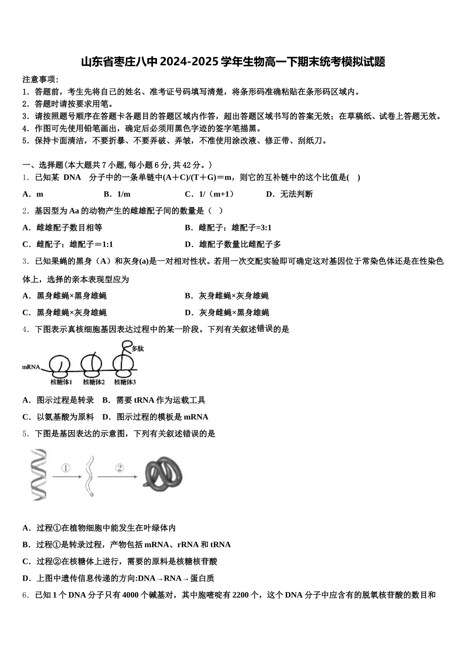 山东省枣庄八中2024-2025学年生物高一下期末统考模拟试题含解析_第1页